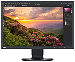 EIZO ColorEdge CS2400S - hardwarekalibrierbarer Wide Gamut Monitor EIZO ColorEdge CS2400S - hardwarekalibrierbarer Wide Gamut Monitor